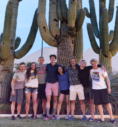 cactusgroup2019a